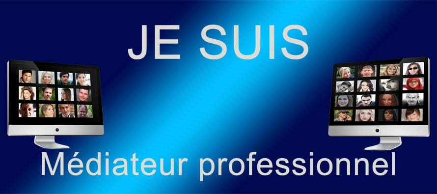 Portrait type du médiateur professionnel en 2016