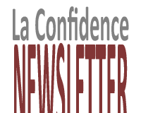 Réunion des délégués des professionnels de la médiation, le 28 janvier 2011 à Paris