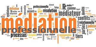 Voeux 2019 des Médiateurs Professionnels