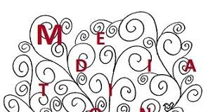 Médiateur professionnel et professionnalisation