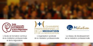 La médiation des marchés publics, nouveau service institutionnel