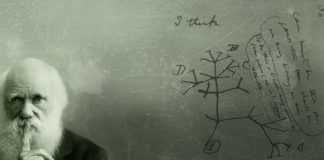 Tony Meilhon n’est pas un homme digne de ce nom.