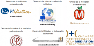L’e-médiation professionnelle