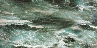 Le déluge breton, les organisations et les médiateurs professionnels