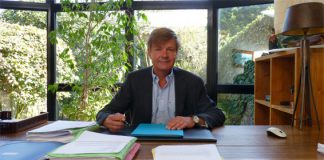 Les spécialistes : avocat et médiateur ; la procédure et le processus, alliance d’une  liberté positive