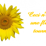 ¿ El derecho a la mediación ?