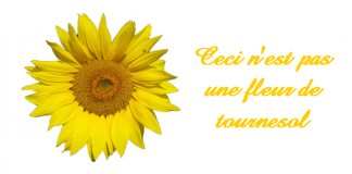 ¿ El derecho a la mediación ?