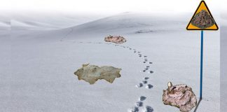 Le conflit des bouses de vaches.