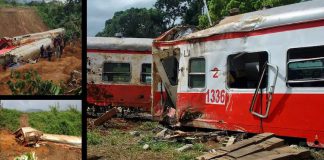 Cameroun, Camrail et Bolloré : la médiation contre la détresse d’un procès