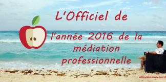 L’année 2016 de la médiation professionnelle