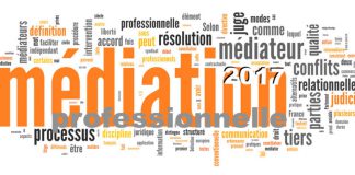 Voeux 2017 des médiateurs professionnels, la profession du 21ème siècle