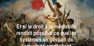 La liberté pourrait être mieux garantie en France