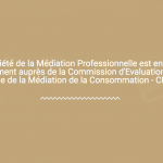 La médiation professionnelle au service du règlement des litiges de la consommation