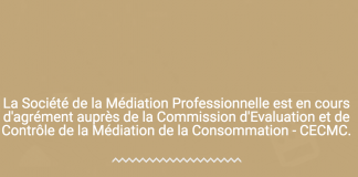La médiation professionnelle au service du règlement des litiges de la consommation