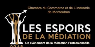 La Médiation Professionnelle au service des entrepreneurs