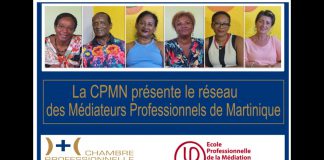 Les Médiateurs Professionnels de Martinique