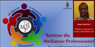 Hilaire Annonay explique le processus de Médiation Professionnelle