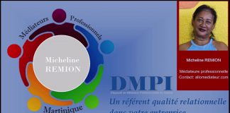 Dispositif de Médiation Professionnelle en entreprise