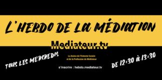 Préhistoire et Histoire de la Médiation Professionnelle