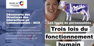 Types de personnalités et fonctionnement humain