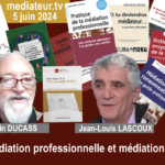 Médiation, entre professionnalisme et improvisation « agile », que choisir ?