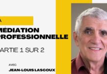 Médiation professionnelle en Suisse