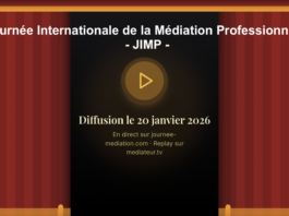 7° journée internationale de la médiation professionnelle : la médiation politique