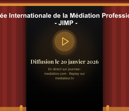 7° journée internationale de la médiation professionnelle : la médiation politique