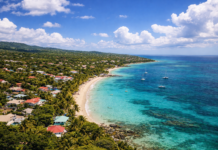 La qualité relationnelle : levier stratégique des transitions