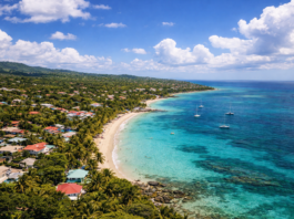 La qualité relationnelle : levier stratégique des transitions