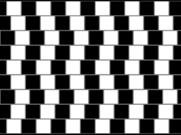 Comment se faire bercer par des illusions ?