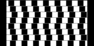 Comment se faire bercer par des illusions ?